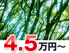 森林葬4.5万円（税込）～