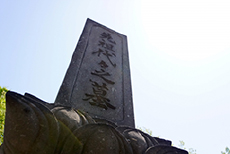 私有地