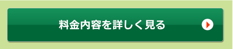 料金内容を詳しく見る
