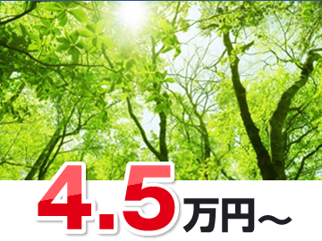 森林散骨4.5万円
